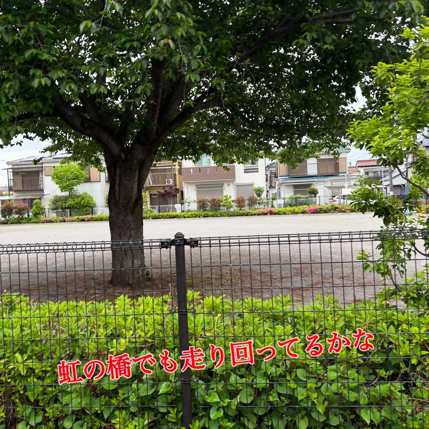 神奈川県葉山町で、大切なわんちゃんのペット火葬のお手伝いをさ...