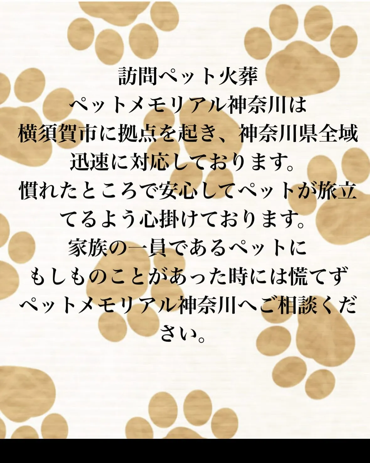 神奈川県逗子市で、長年ご家族の一員として愛された猫ちゃんのペ...