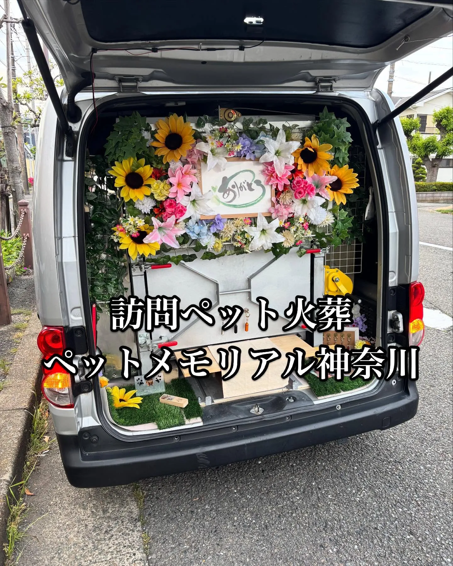 神奈川県横須賀市で、家族の一員であるダックスフンドちゃんが虹...