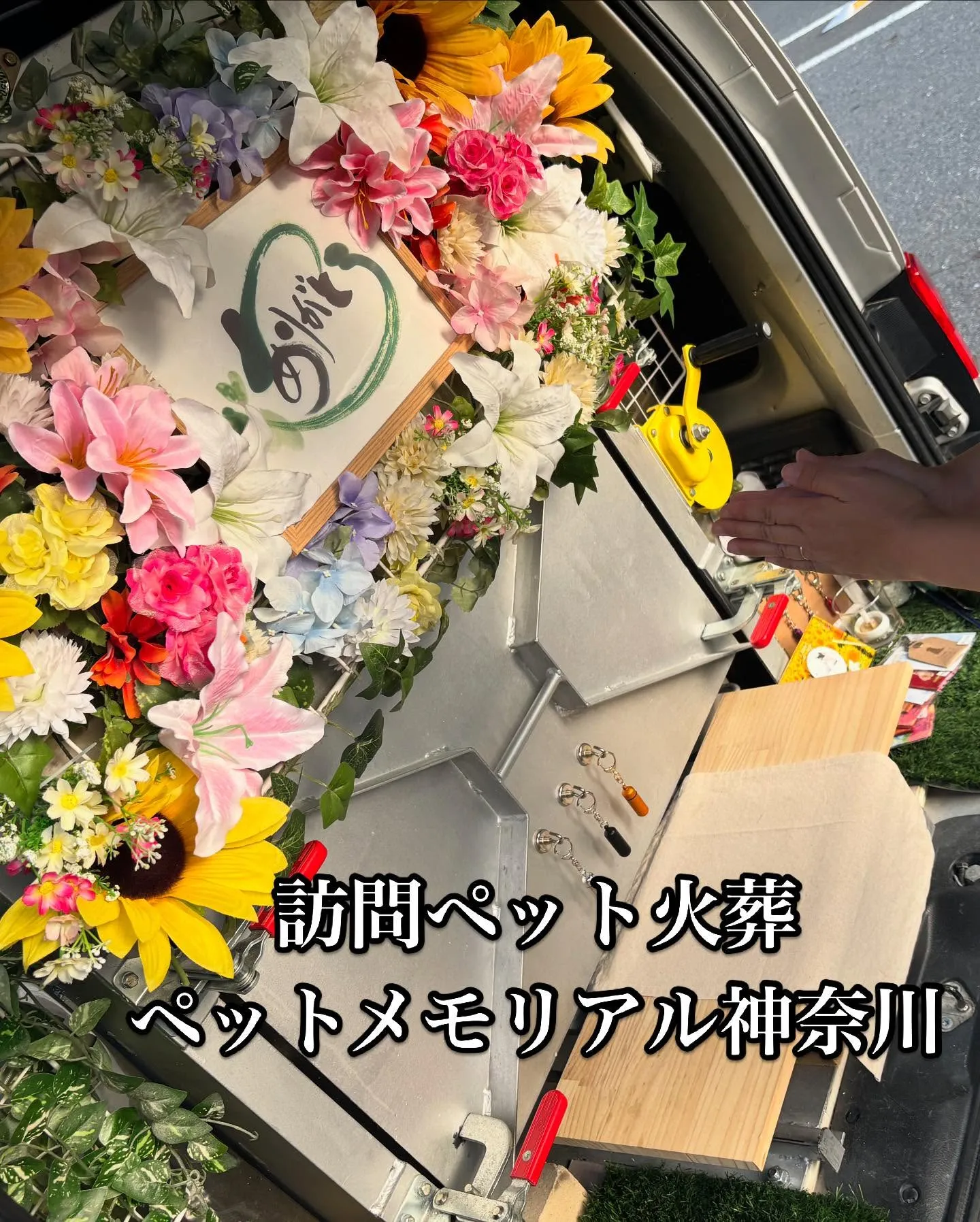 神奈川県横須賀市において、インコちゃんのペット火葬をお手伝い...