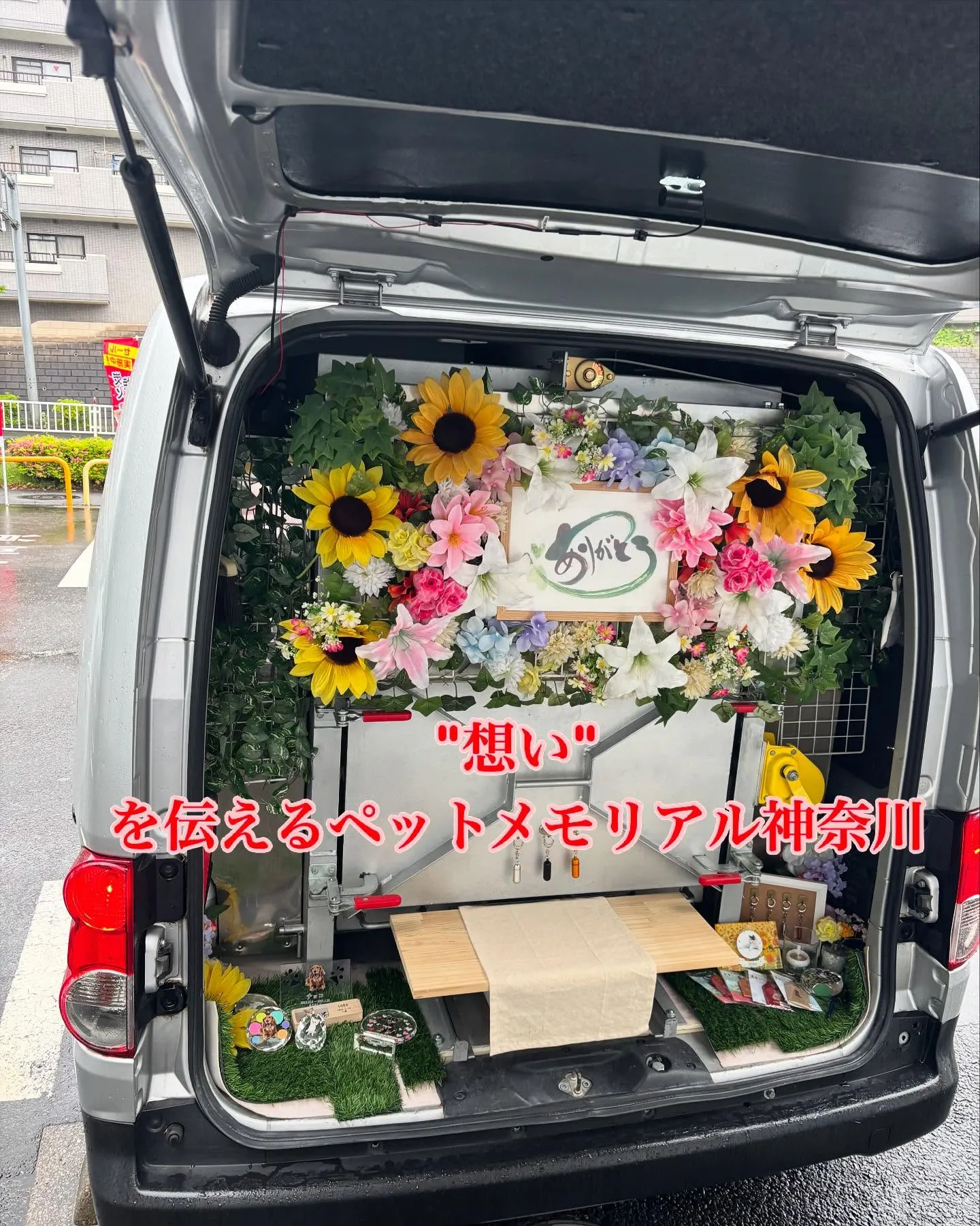 神奈川県横浜市で猫ちゃんのペット葬儀、ペット火葬をお手伝いさ...