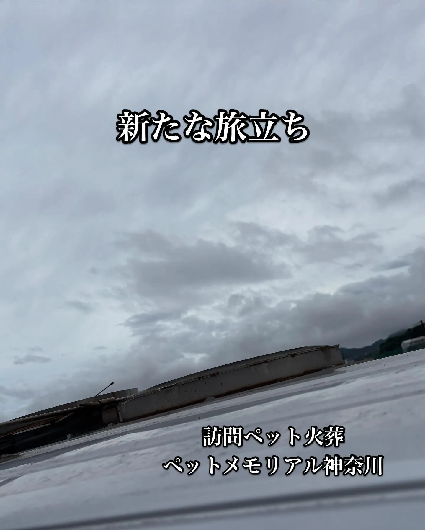神奈川県横浜市で猫ちゃんのペット葬儀、ペット火葬をお手伝いさ...