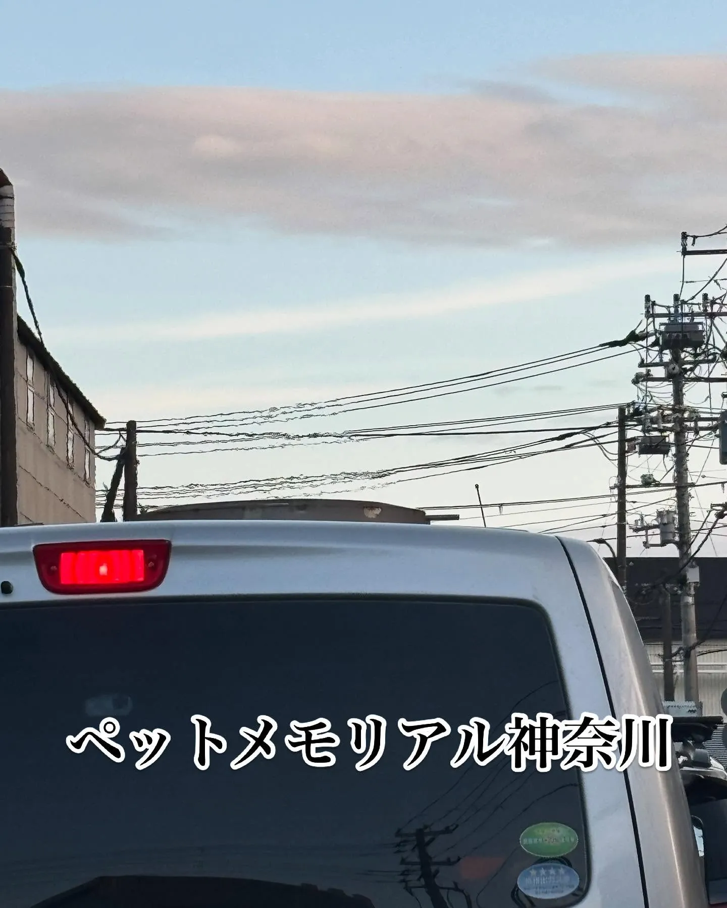 神奈川県横浜市にて、愛らしいうさぎさんのペット火葬のお手伝い...
