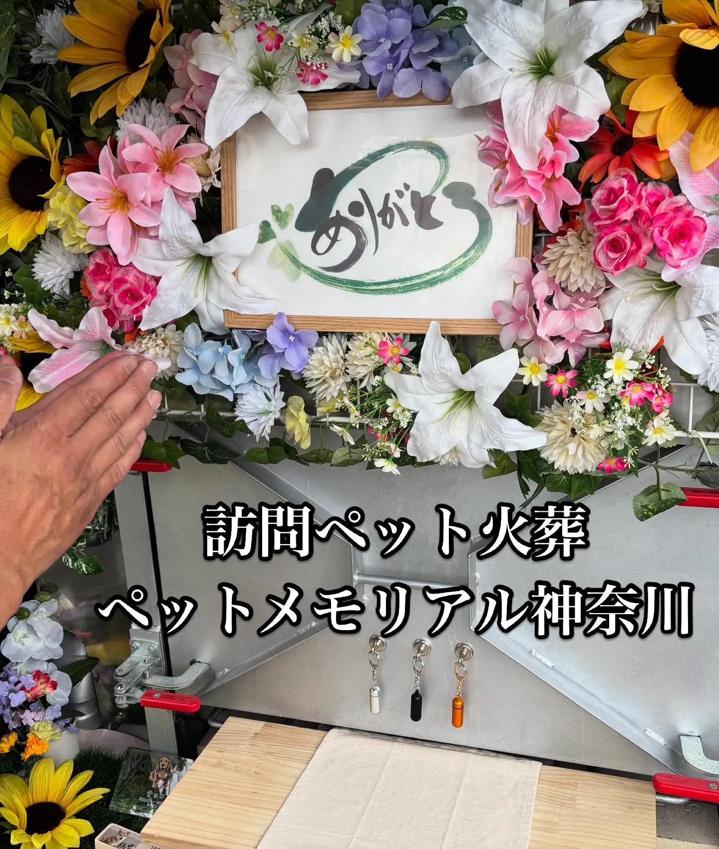 ペットは私たちの生活にかけがえのない喜びと癒しをもたらしてく...