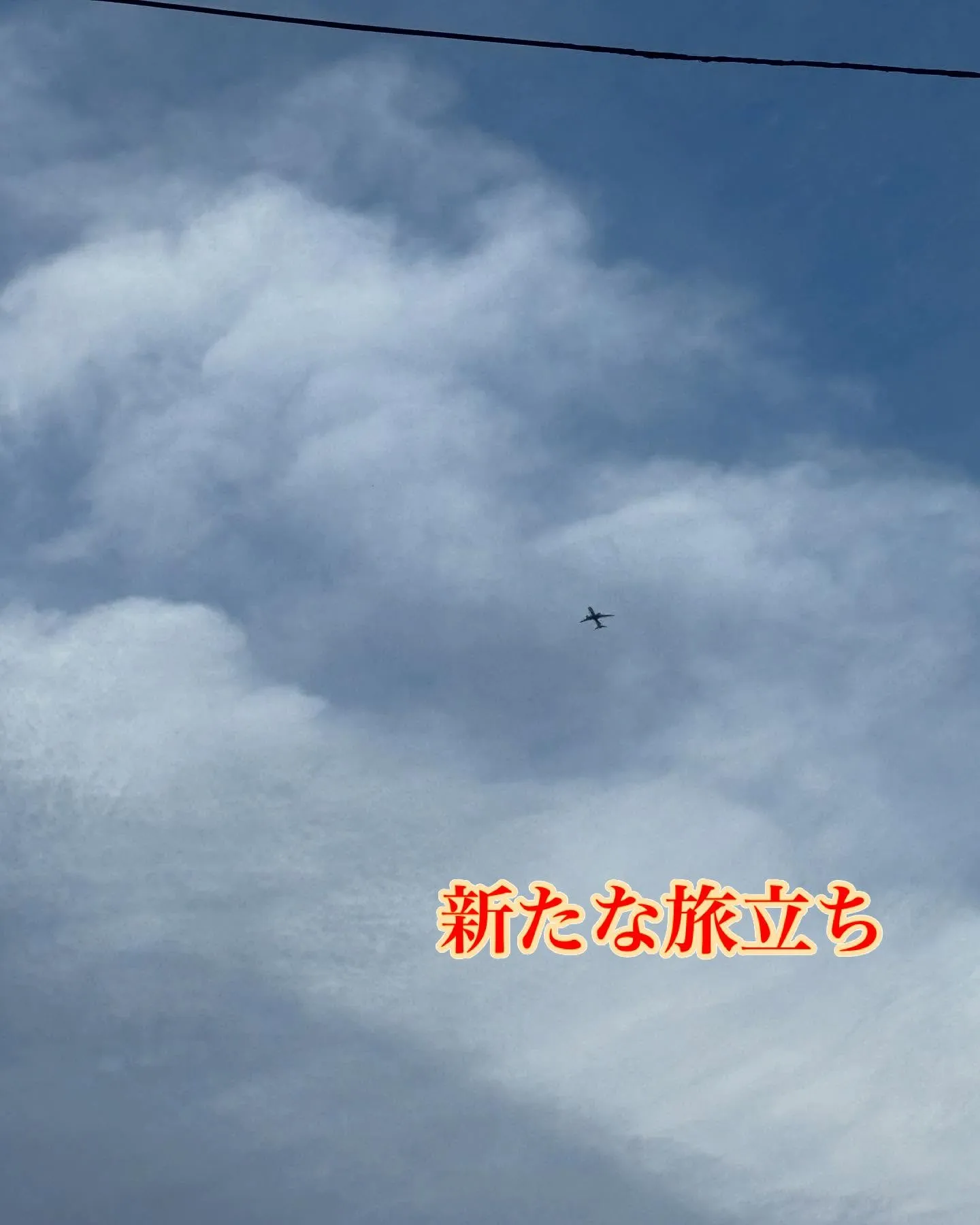 神奈川県横浜市で、愛らしい猫ちゃんのお見送りをお手伝いさせて...