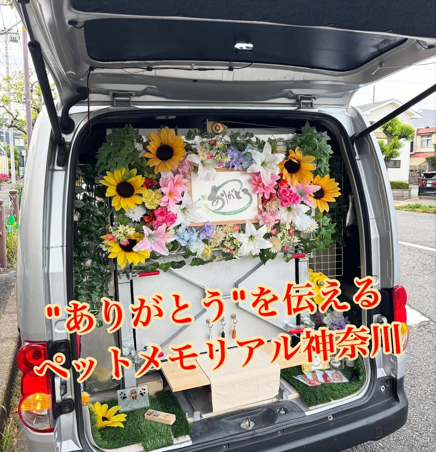 神奈川県三浦市で、美しい羽を持つインコちゃんのお見送り、ペッ...