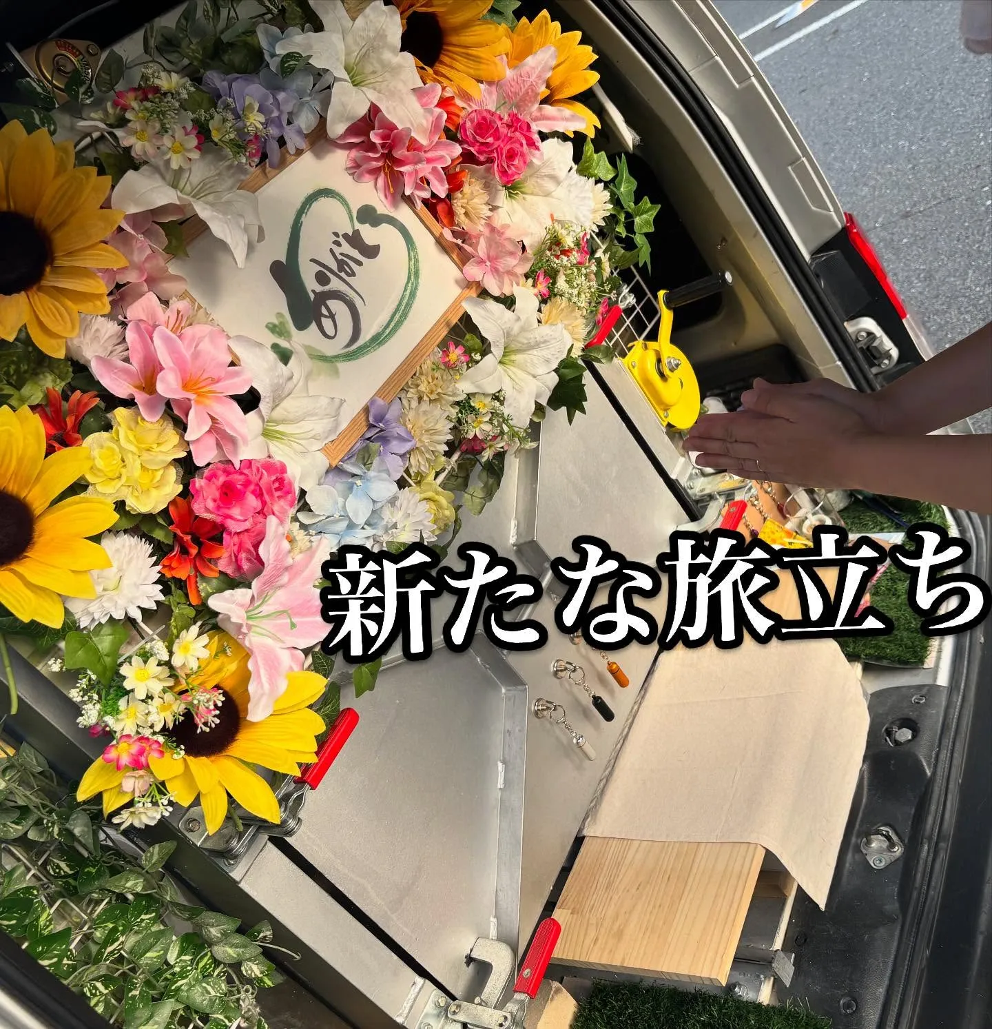 神奈川県三浦市で、美しい羽を持つインコちゃんのお見送り、ペッ...