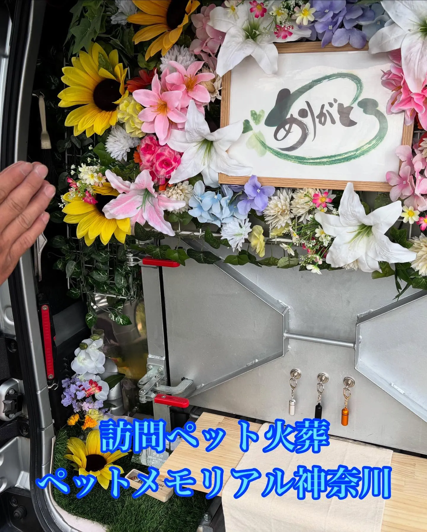 「ペットは家族」という言葉が示すように、大切なペットを失うこ...