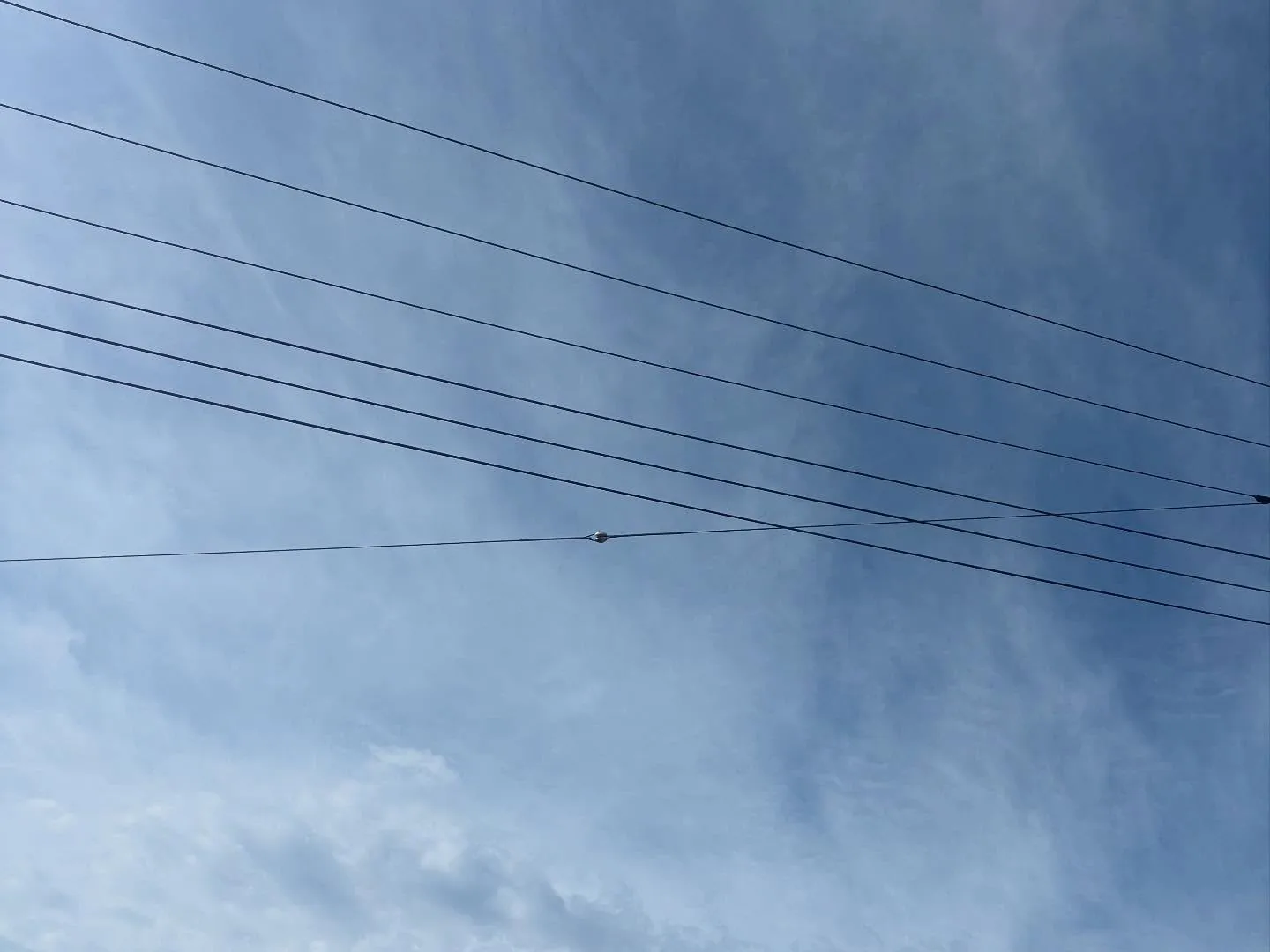 昨日の雨が止んだことはありがたいですが、本日は風が強く吹いて...