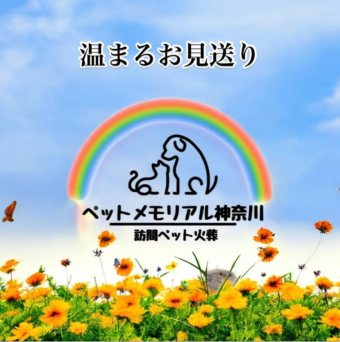 神奈川県三浦市にて15年にわたり家族の一員として共に過ごした...