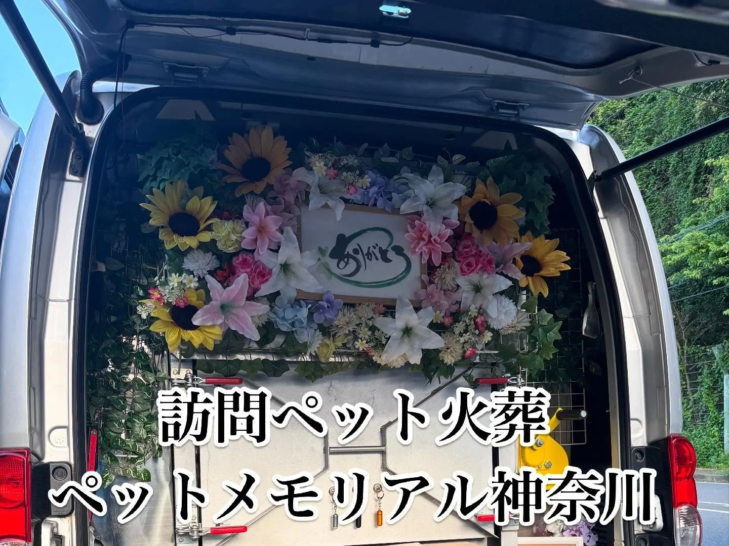 大切なペットとの別れは、まさに心を涙で染める瞬間です。