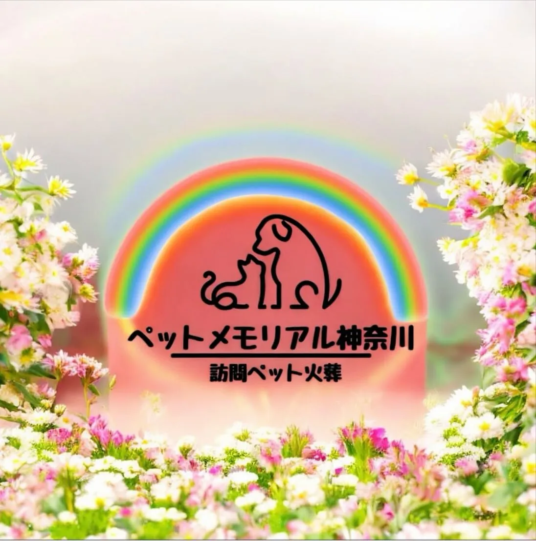 神奈川県横須賀市で、愛らしいチワワちゃんのためのペット葬儀と...