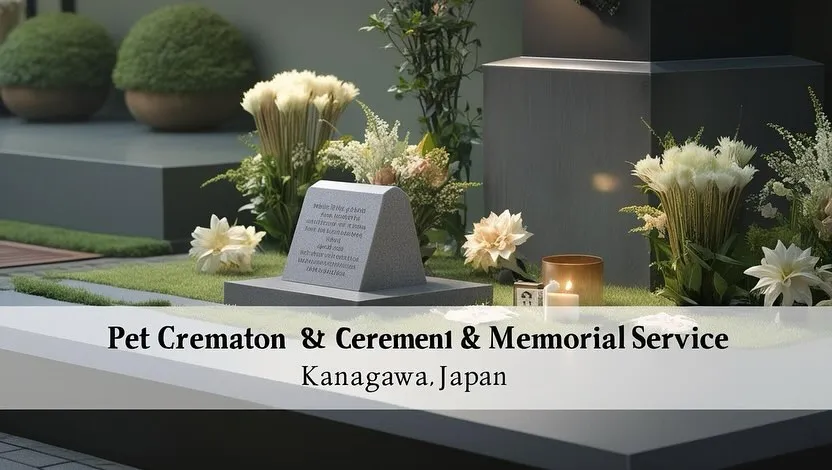 神奈川県や横須賀で愛するペットを見送る際、心温まるサービスを...