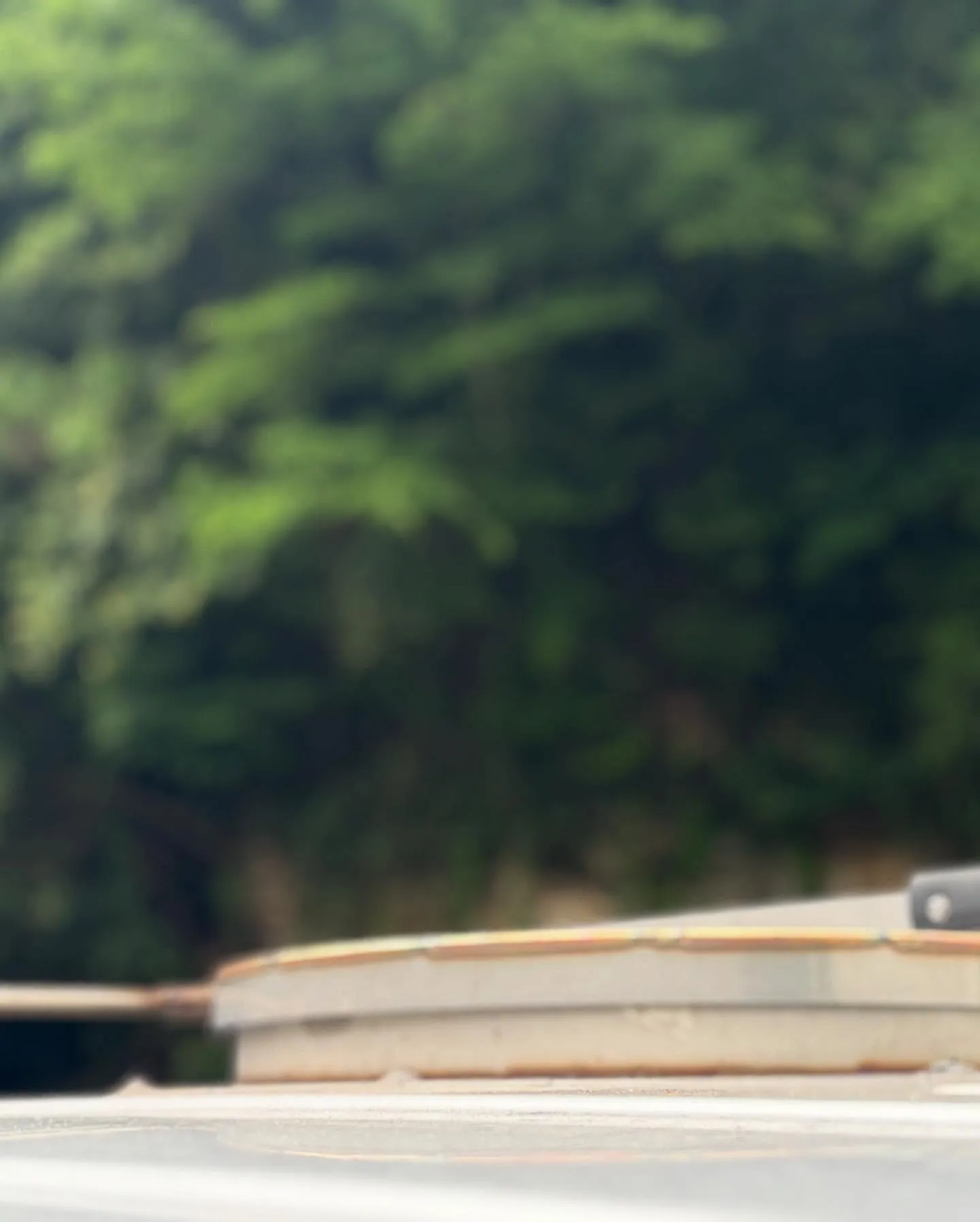 神奈川県横須賀市にて、愛猫ちゃんのペット火葬をお手伝いさせて...