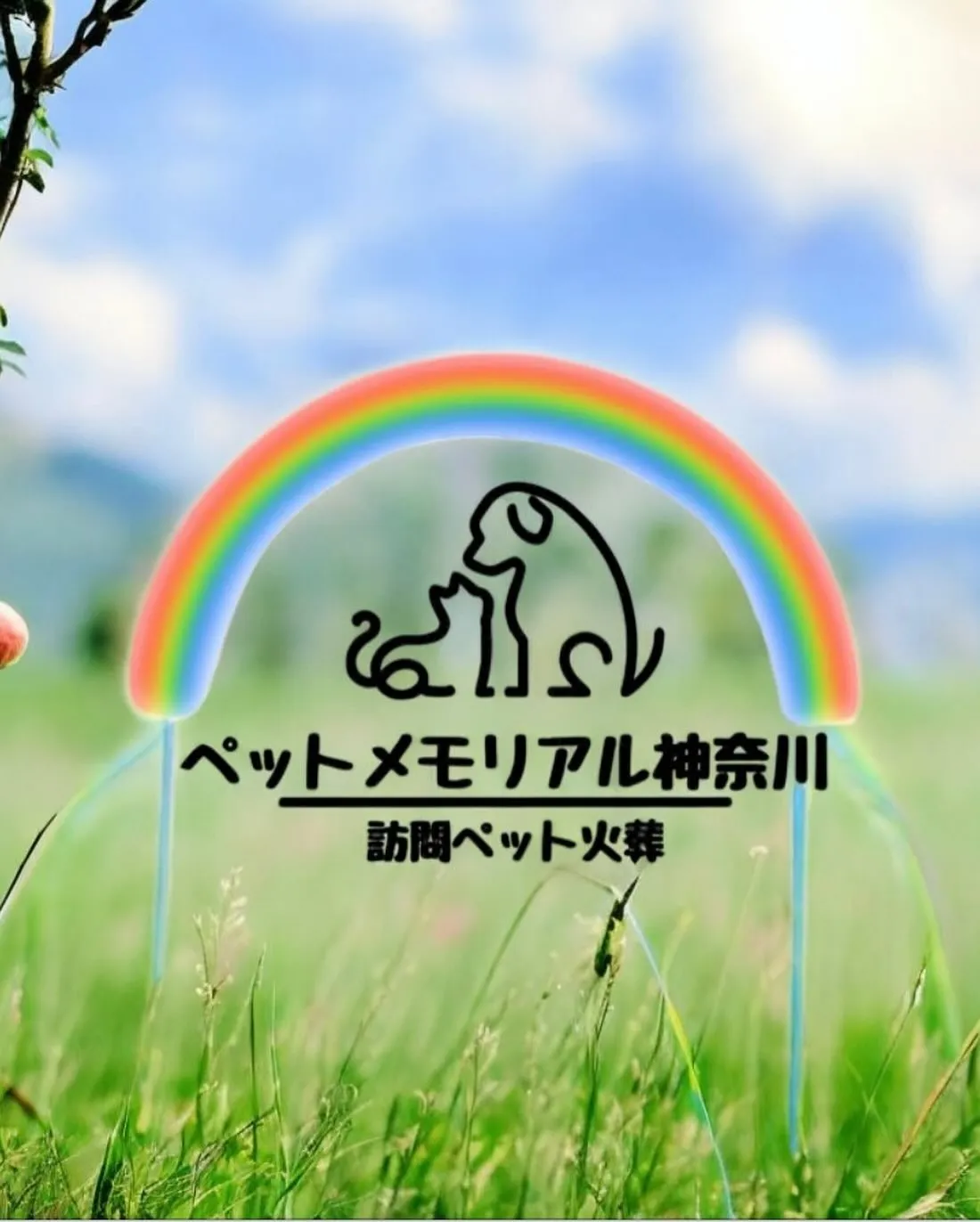 神奈川県横須賀市にて、愛猫ちゃんのペット火葬をお手伝いさせて...