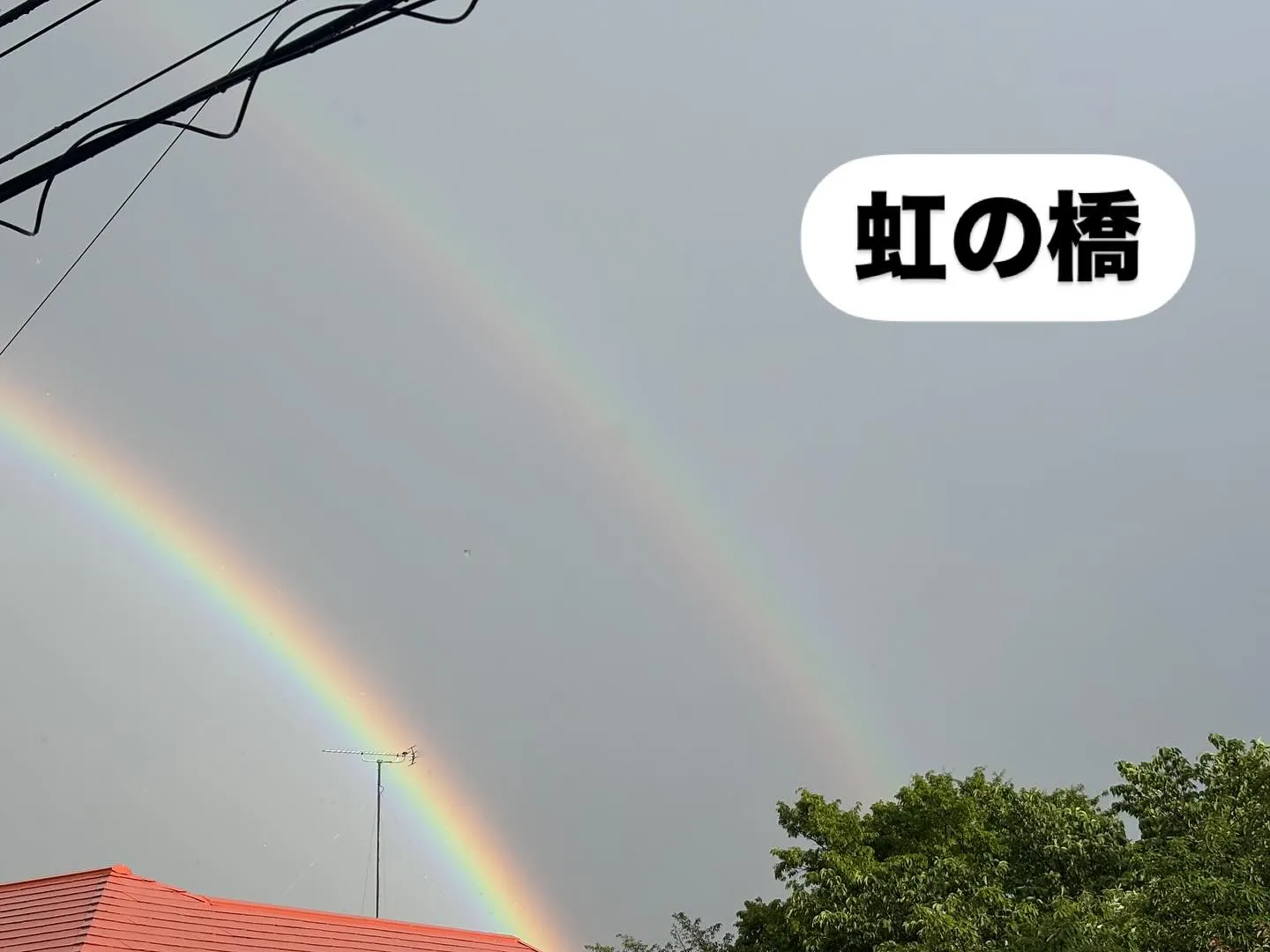 本日は雑誌社の取材がありました。