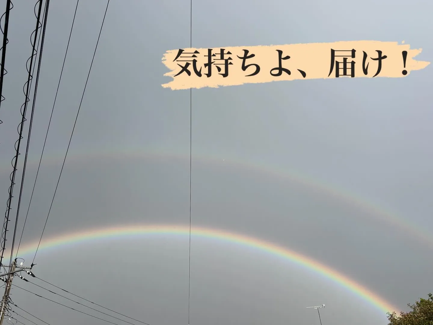 本日は雑誌社の取材がありました。