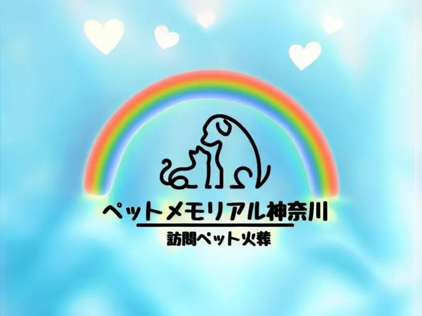 本日は雑誌社の取材がありました。