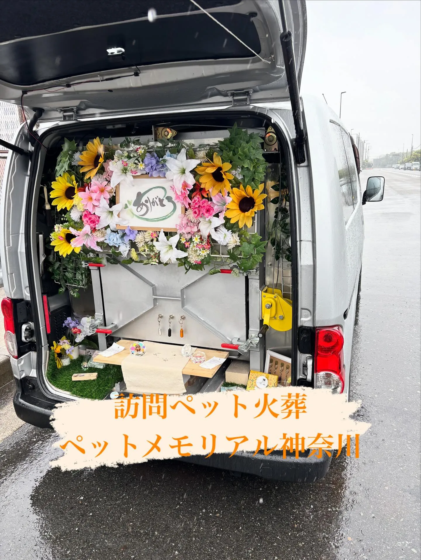 神奈川県横須賀市で、長年愛されてきた21歳の男前のダックスフ...