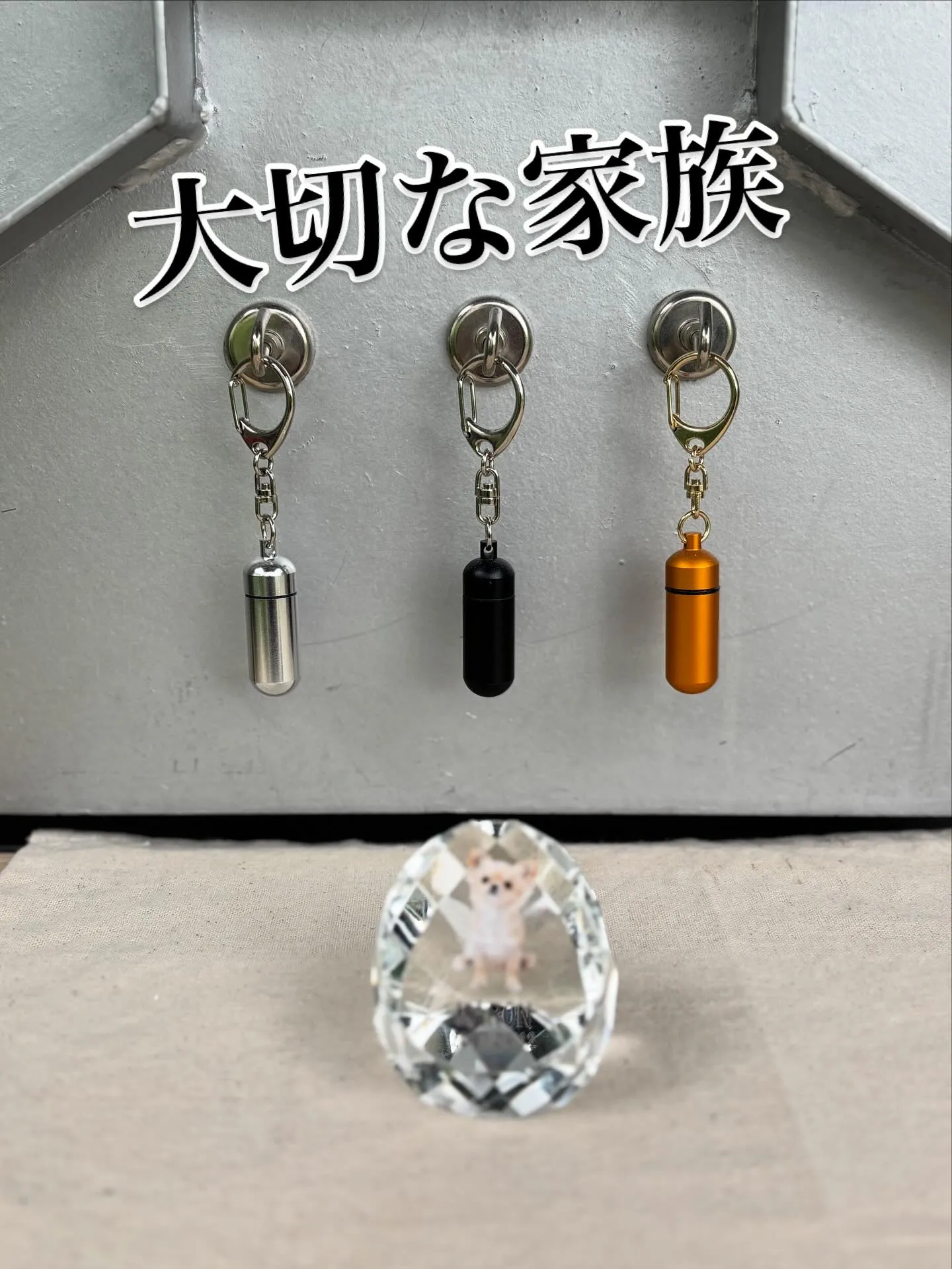 神奈川県横須賀市で、チワワのリリーちゃんのペット葬儀とペット...