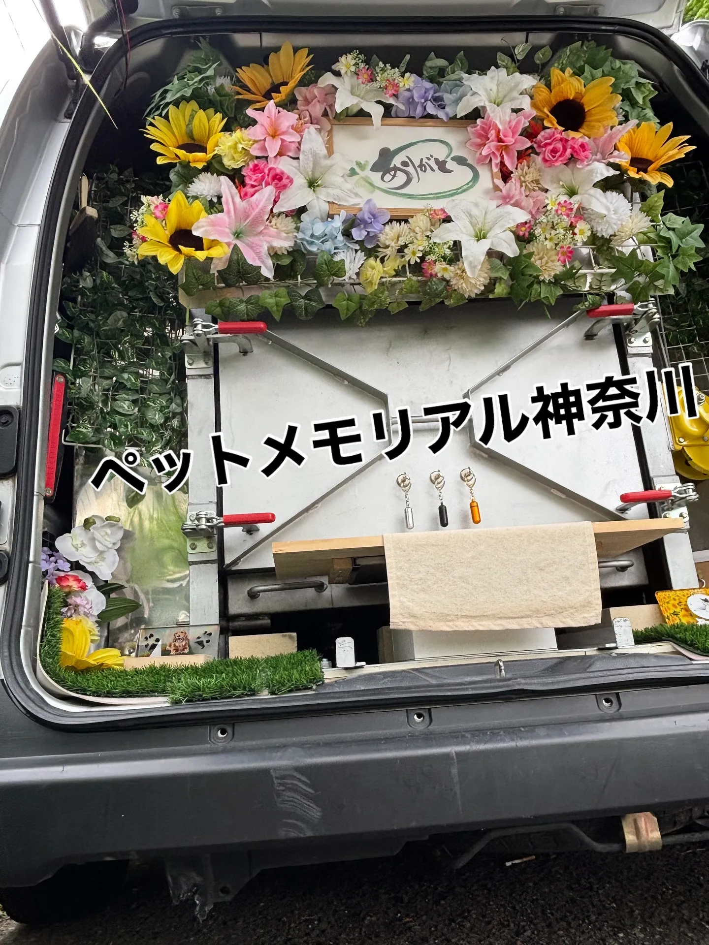 神奈川県三浦市にて、可愛い猫ちゃんのペット火葬をお手伝いさせ...