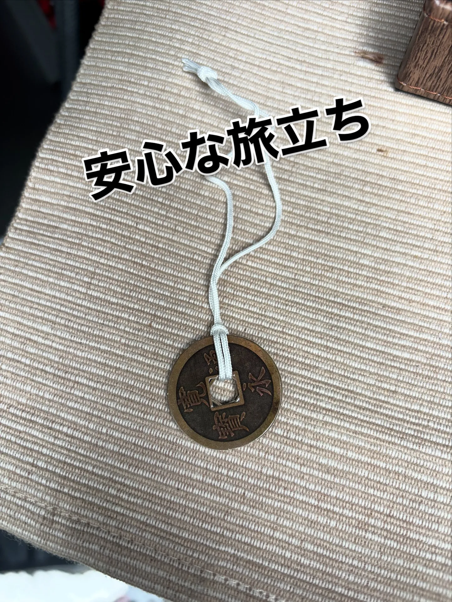 神奈川県三浦市にて、可愛い猫ちゃんのペット火葬をお手伝いさせ...