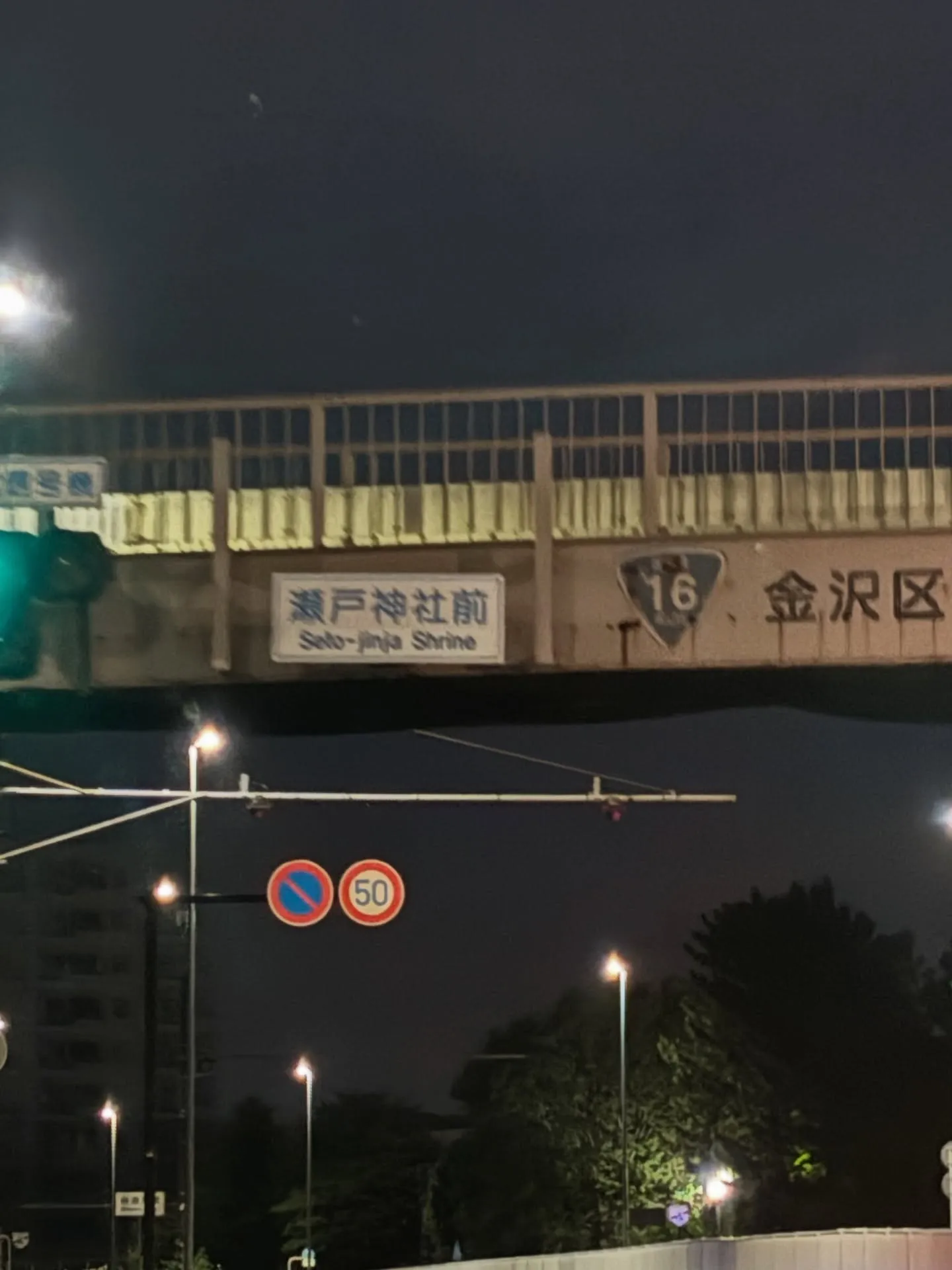 横浜市金沢区で、皆様が集まるお時間に合わせて14歳の猫ちゃん...