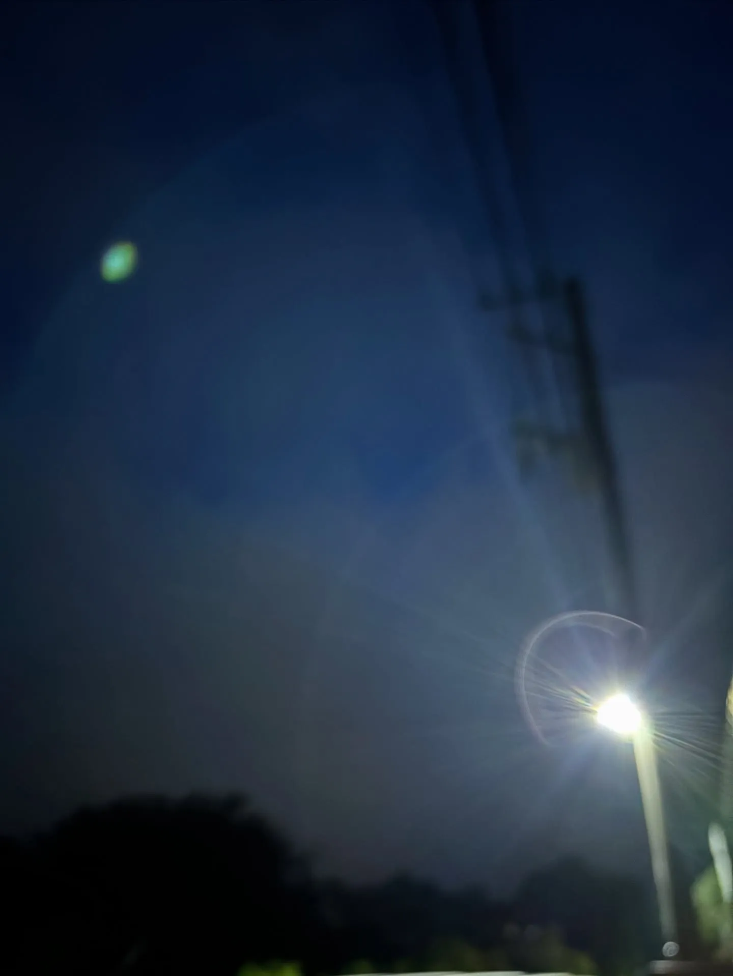 横浜市金沢区で、皆様が集まるお時間に合わせて14歳の猫ちゃん...