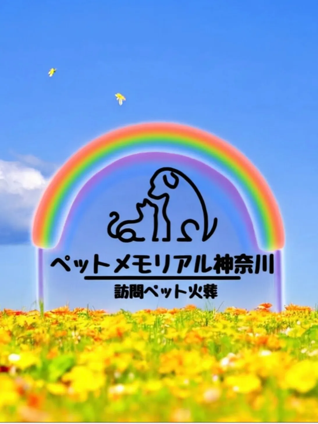 神奈川県三浦市で、お花が好きだったチワワちゃんのペット火葬を...