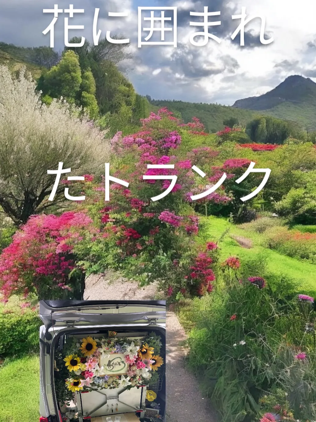 神奈川県三浦市にて、大切な家族の一員である猫ちゃんのペット火...