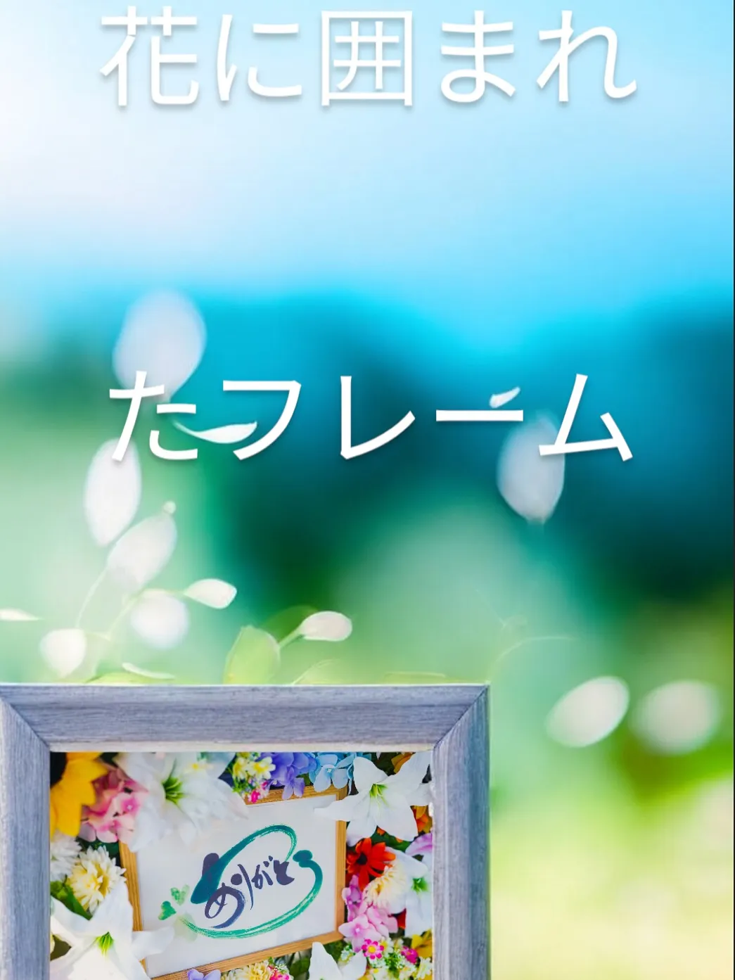 神奈川県三浦市にて、心温まる三毛猫ちゃんのペット葬儀とペット...