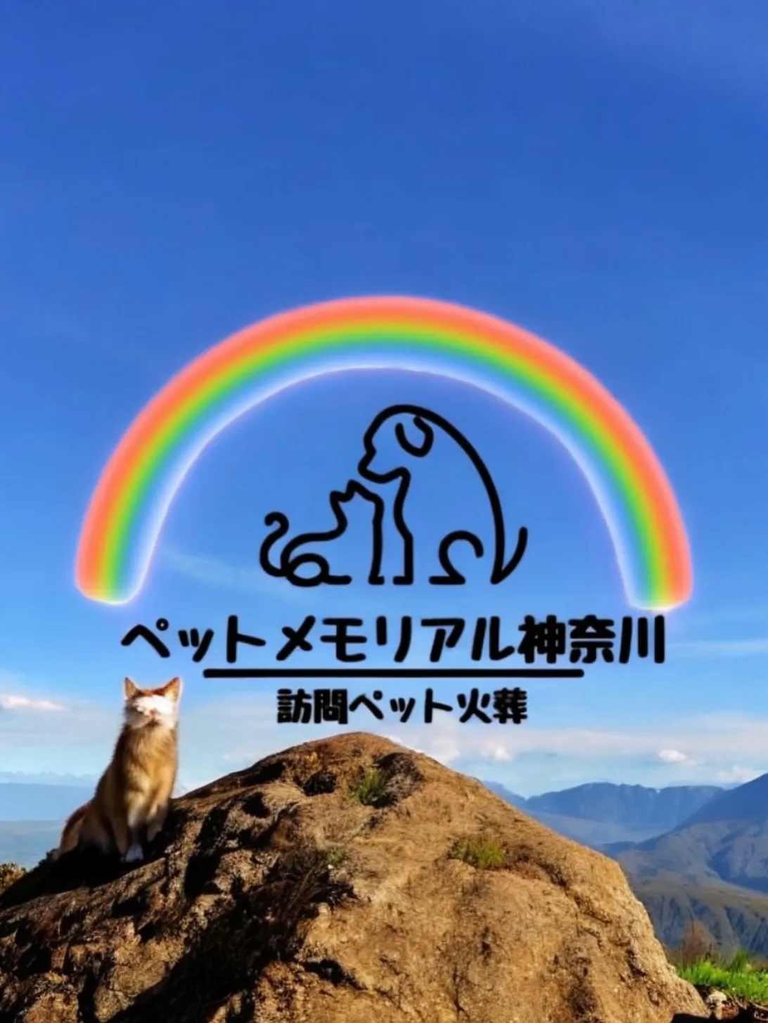 神奈川県三浦市にて、心温まる三毛猫ちゃんのペット葬儀とペット...