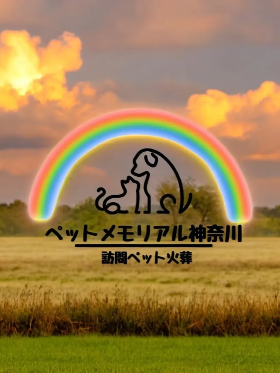神奈川県横浜市にて、大切なハムスターのペット火葬のお手伝いを...