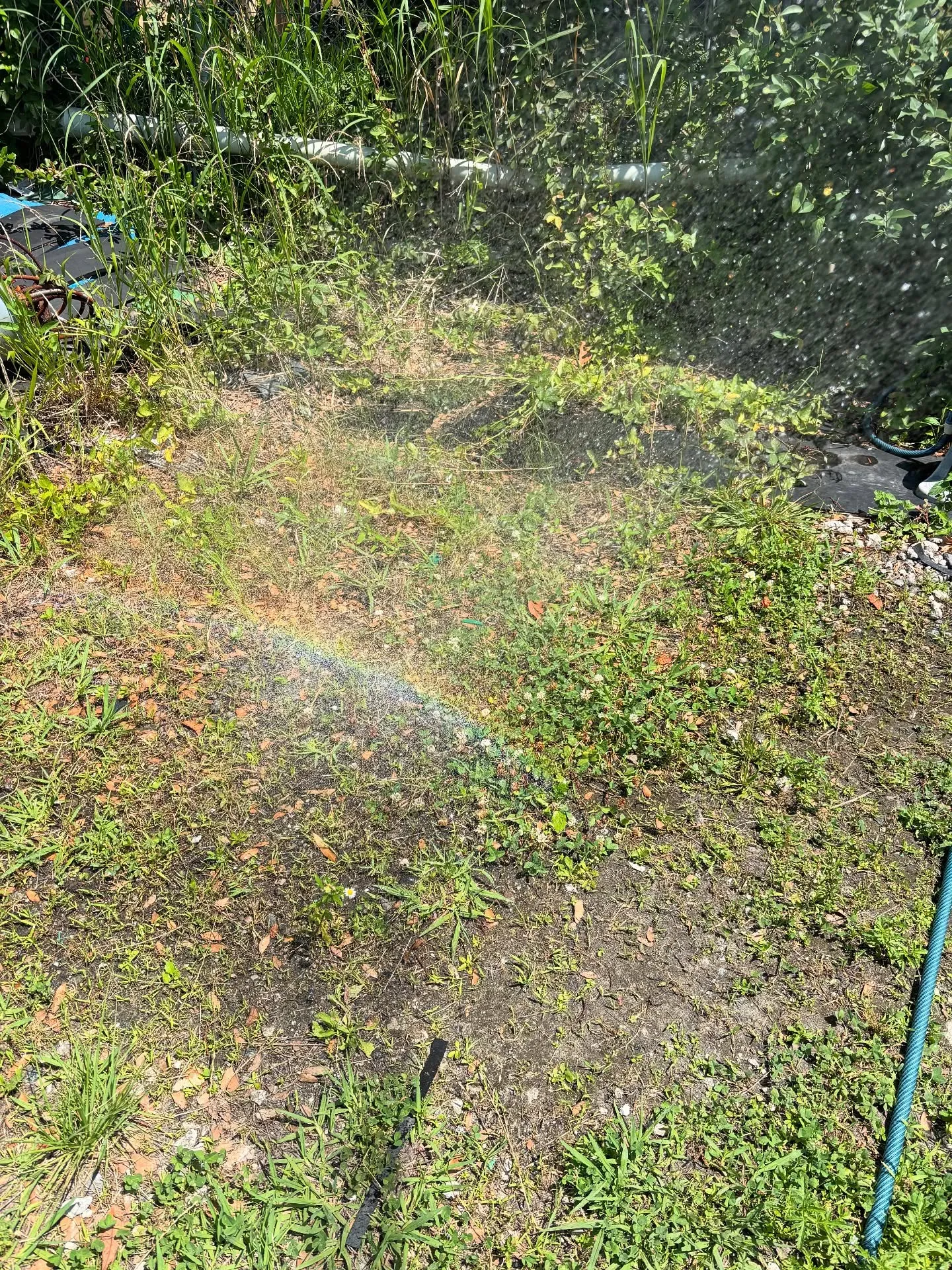 夏の日差しが強くなり、アスファルトは高温に達することがありま...