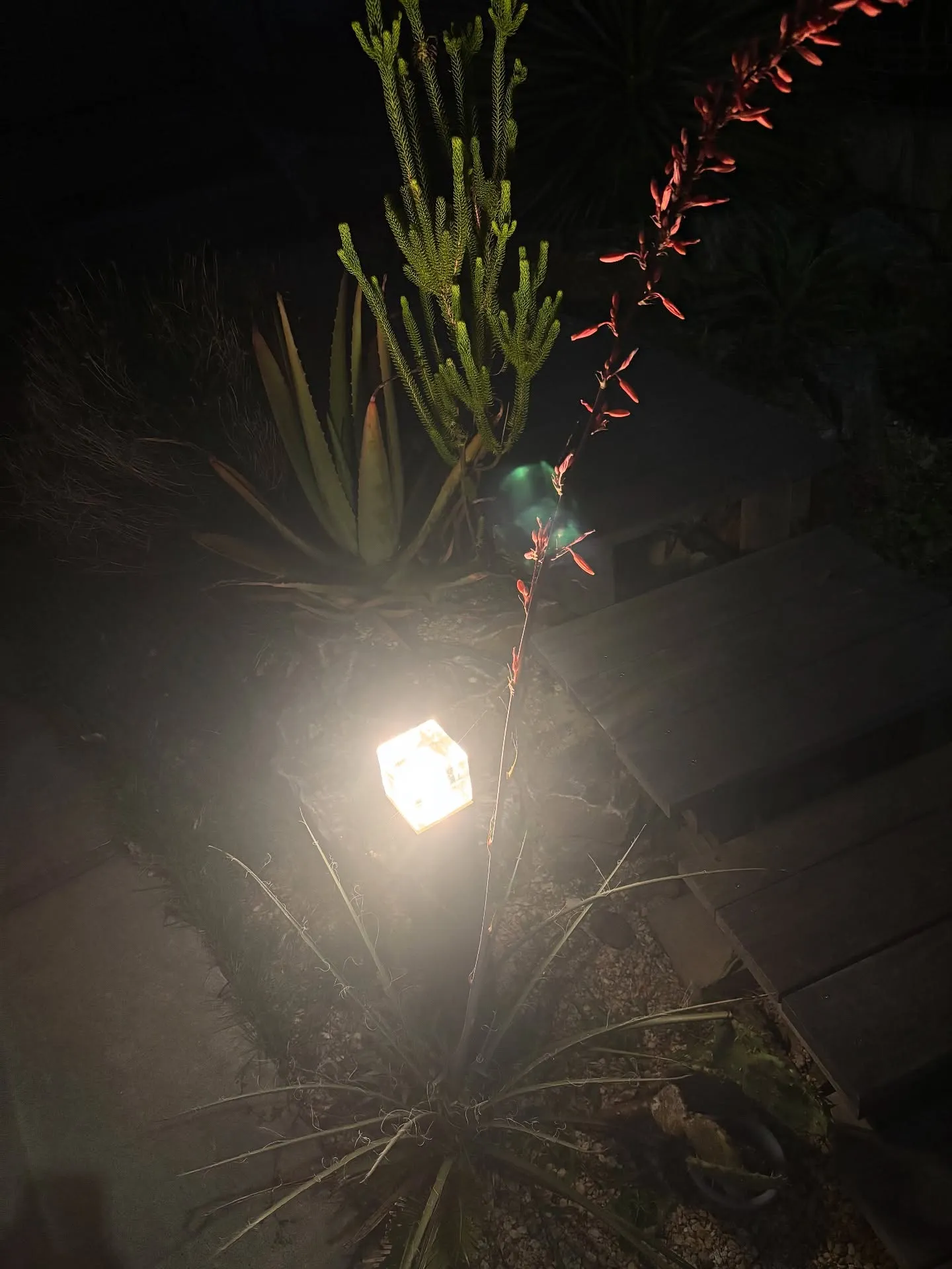 神奈川県横須賀市で心温まる体験をさせていただきました。