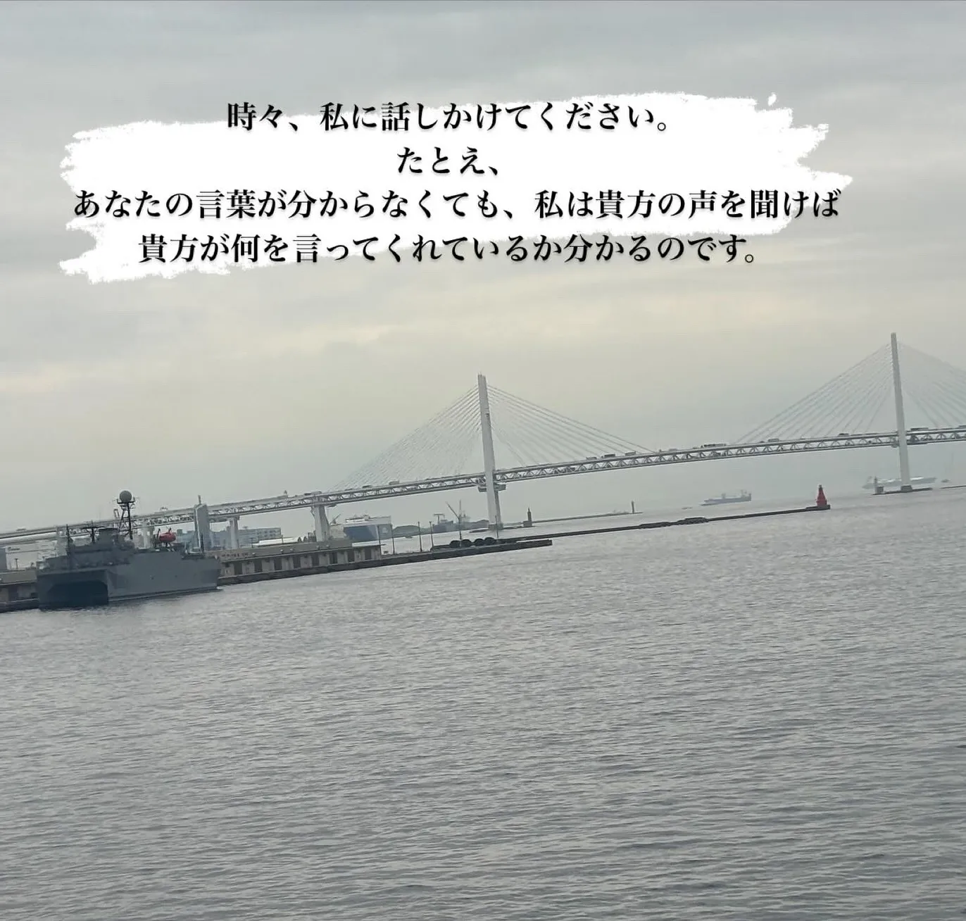 ペットは家族の一員として、私たちの日常に大きな喜びと支えを与...