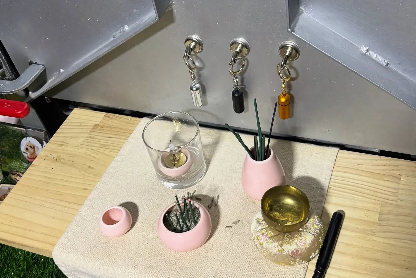 ペットは私たちのかけがえのない家族として、日々の生活に温もり...