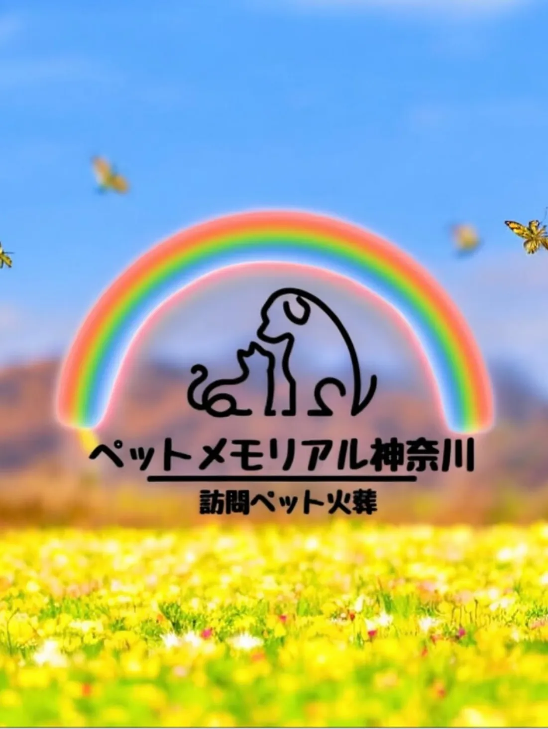 神奈川県逗子市にて、愛らしいインコちゃんのペット火葬をお手伝...