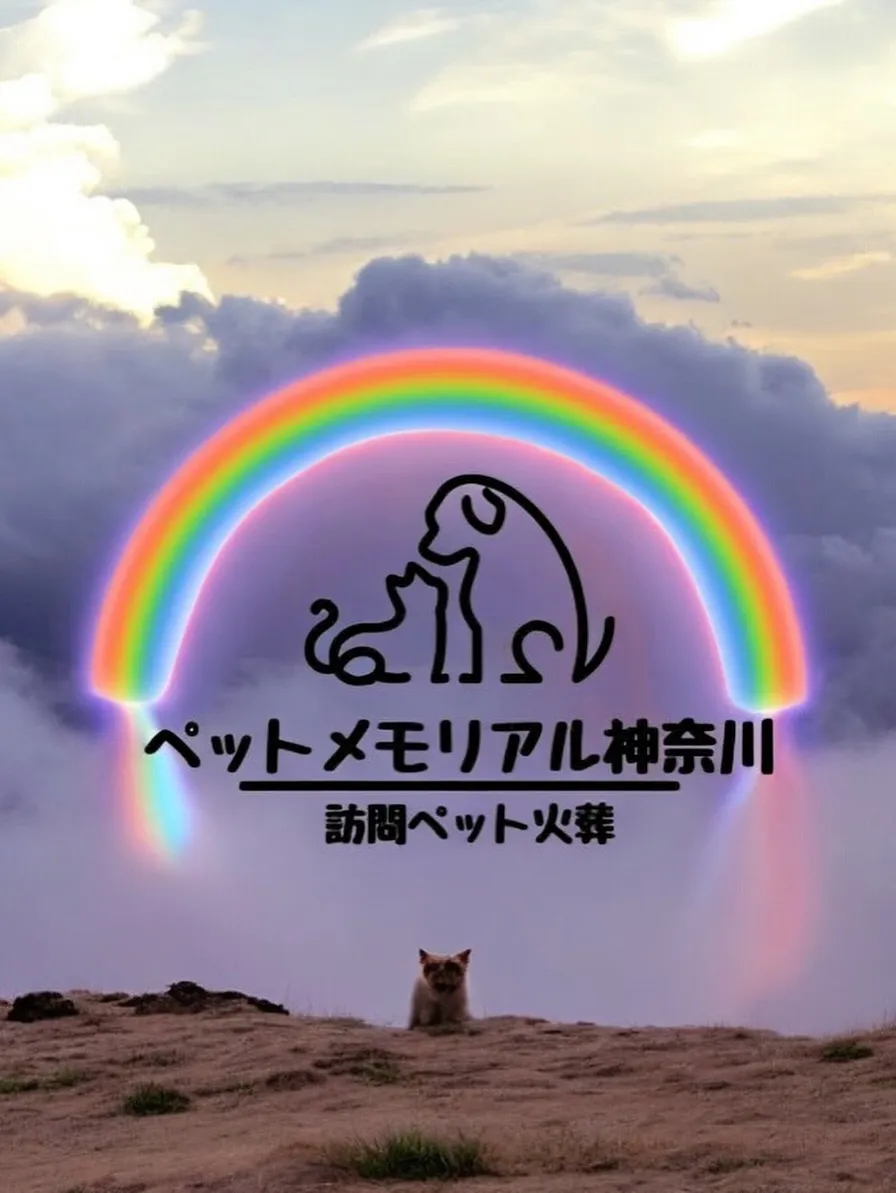 この度は、横浜市にて猫ちゃんのペット火葬のお手伝いをさせてい...