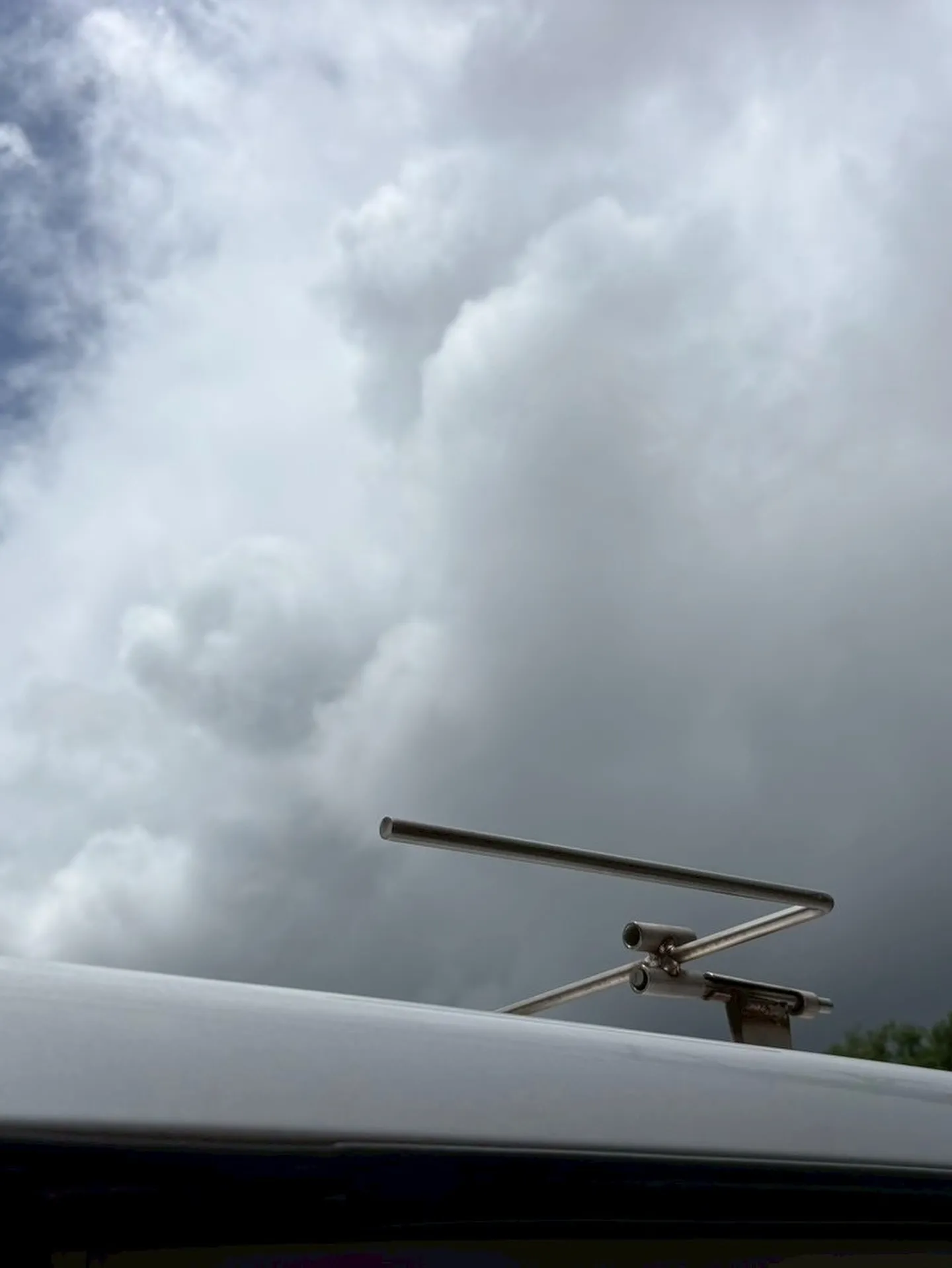 神奈川県横須賀市で、いつも元気いっぱいだったハムスターのブル...