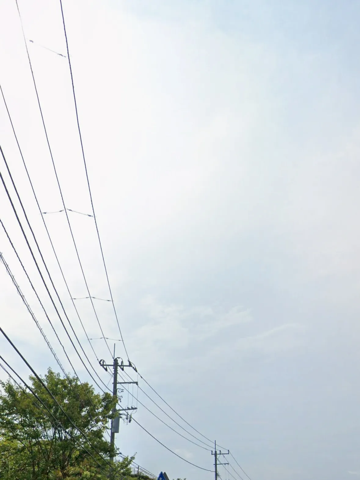 神奈川県逗子市にて、17年間家族の一員として共に過ごしてきた...