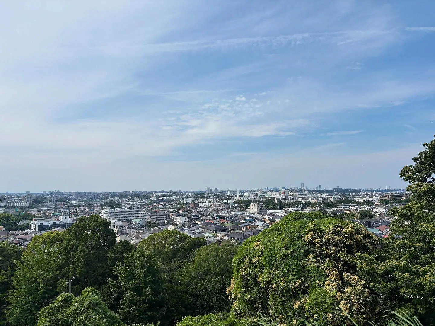 神奈川県横浜市にて、大切なトイプードルちゃんのお見送りとペッ...
