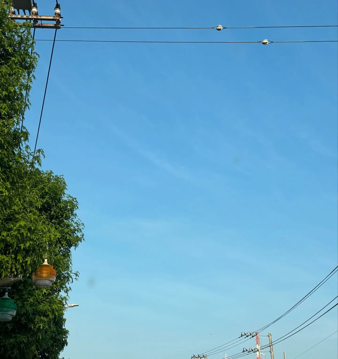 おはようございます。