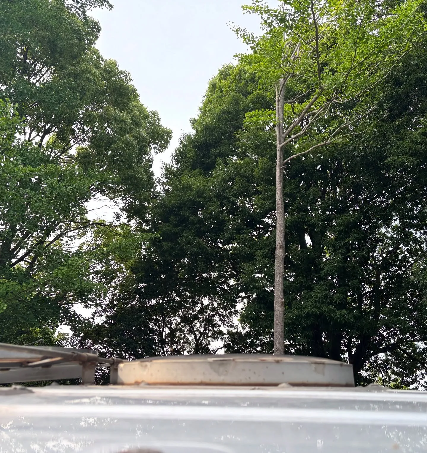 おはようございます。