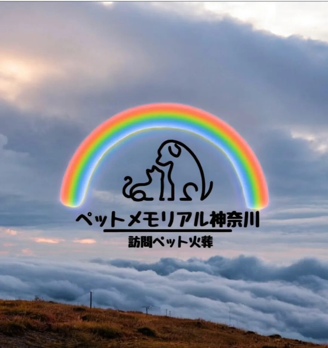 おはようございます。