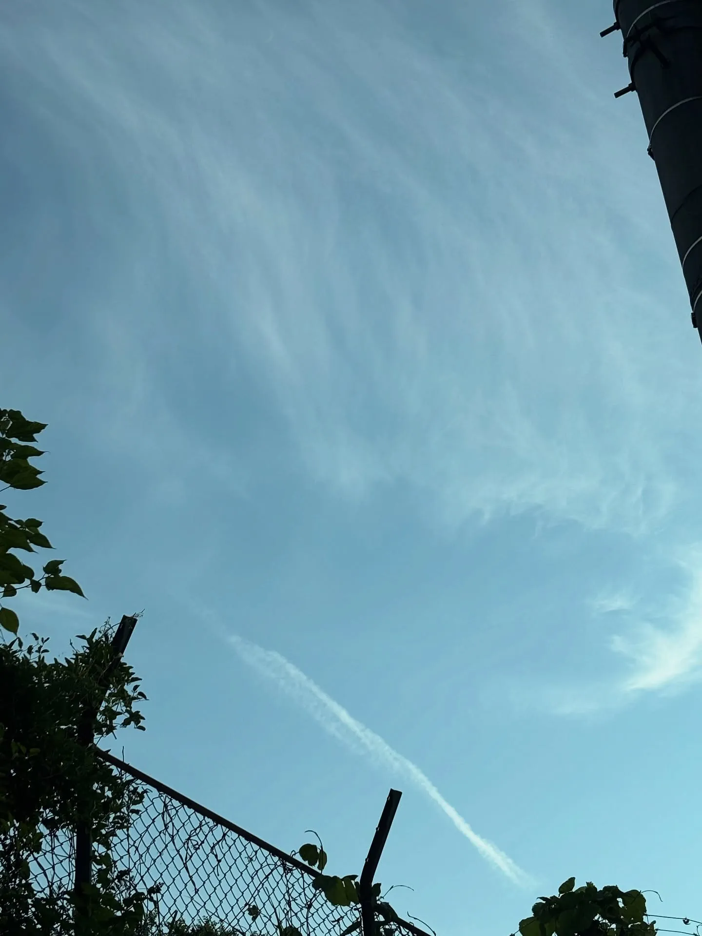 ペットロスというのは、愛する存在を失った後に訪れる深い悲しみ...