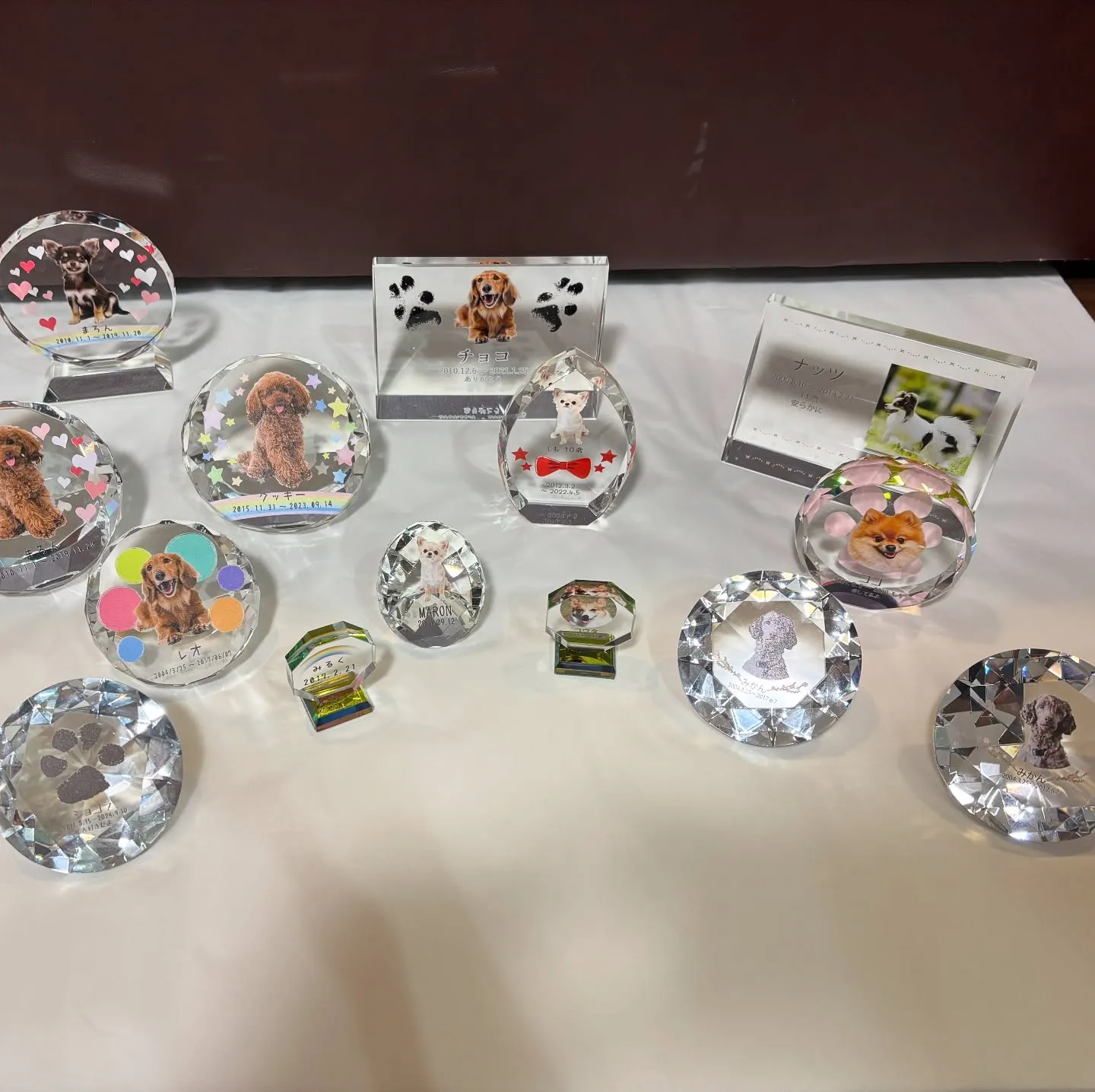 ペットメモリアル神奈川では、愛するペットの最後の送り出しを心...