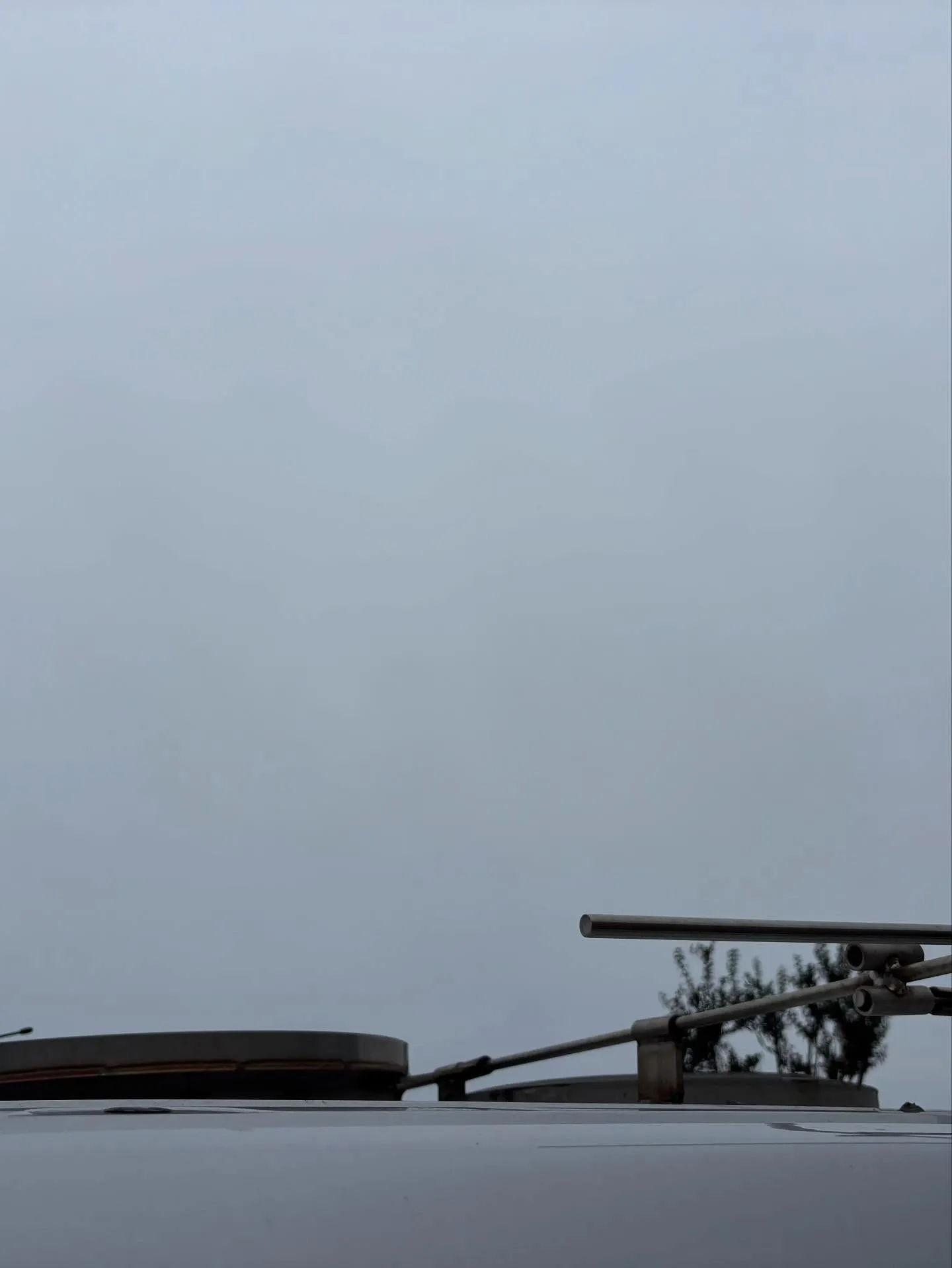 横須賀市の海の見える場所から、かわいいわんちゃんのお見送りを...