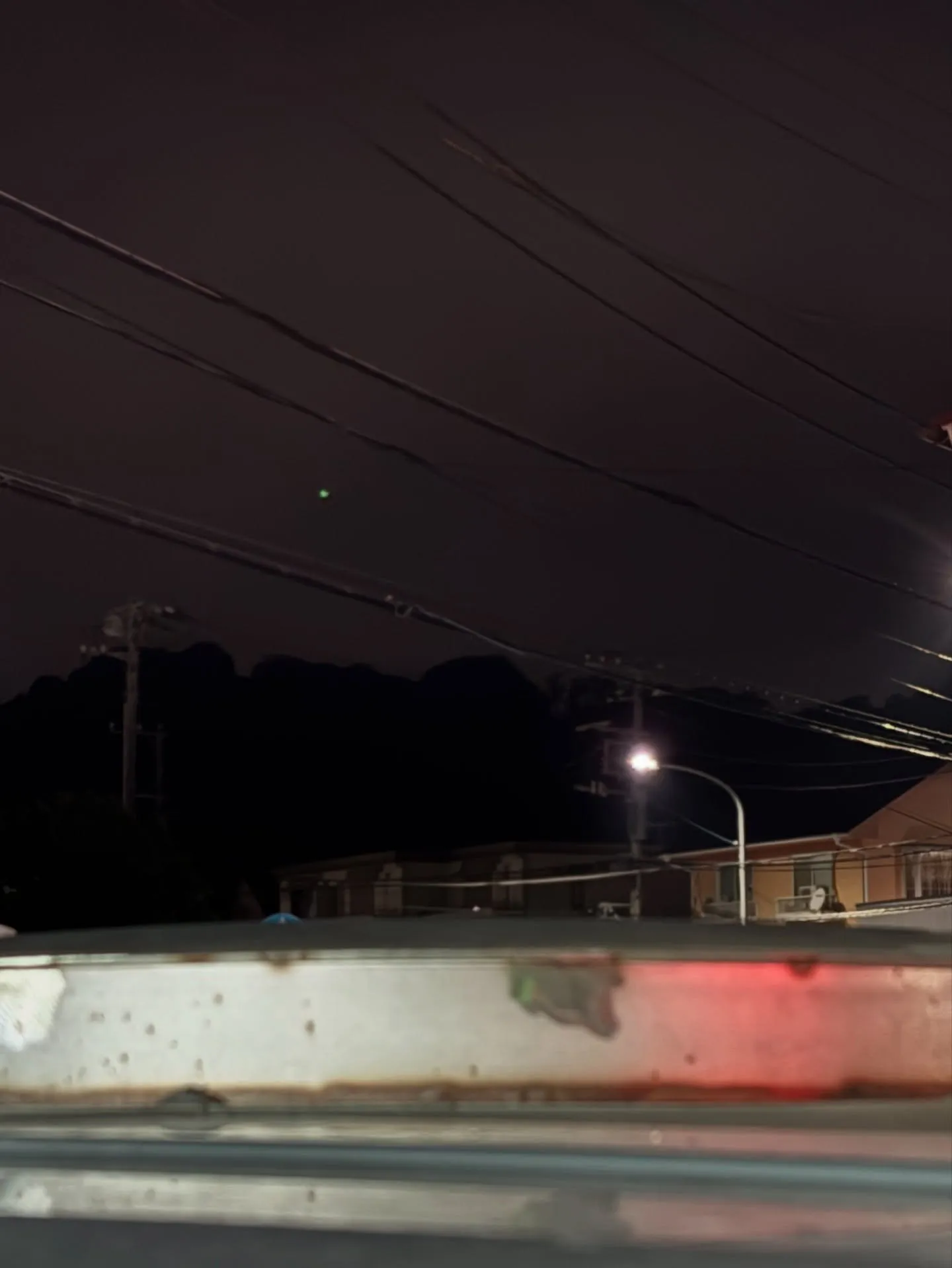 神奈川県横浜市で、大切な家族の一員である猫ちゃんのペット火葬...