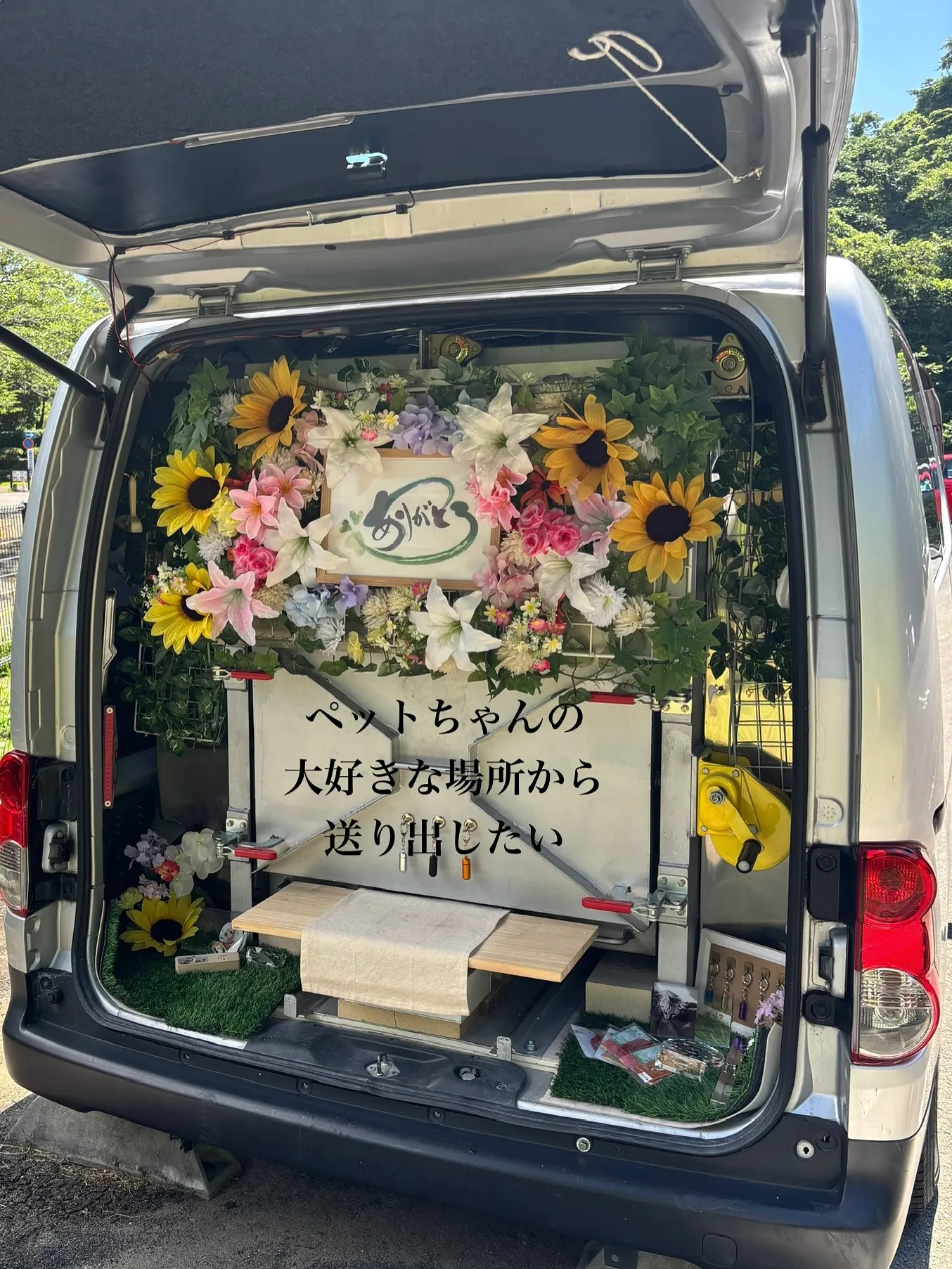 私の寿命はおよそ10年から15年です。